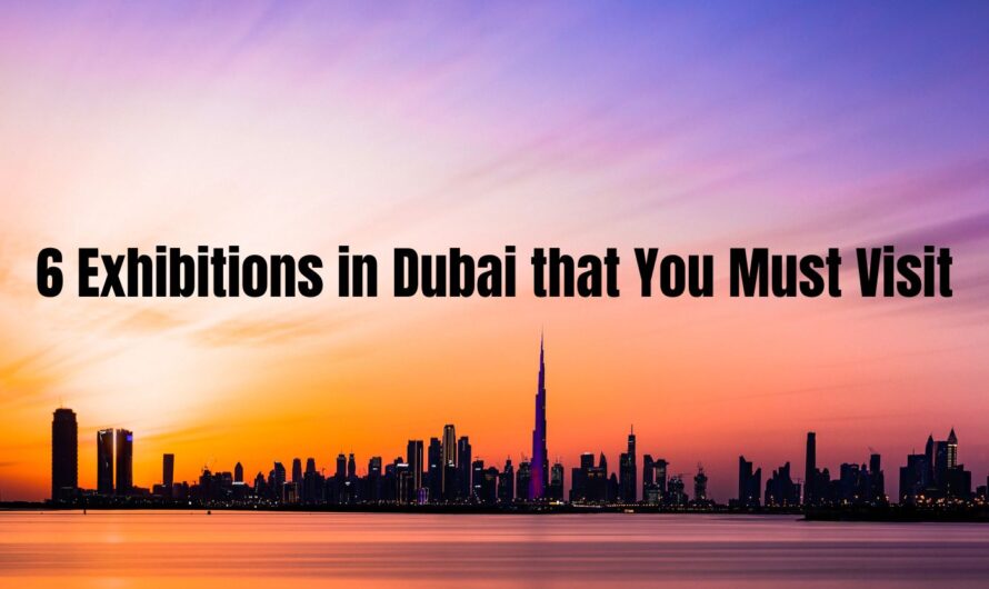 6 Exhibitions in Dubai that You Must Visit in February Being an Art Lover