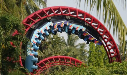 Thrilling Adventure Activities