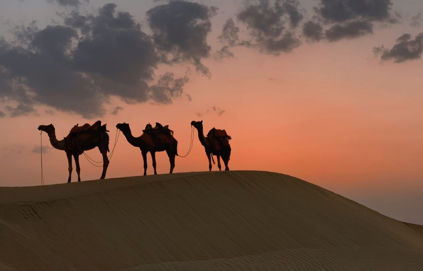 deserts