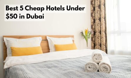 Cheap Hotels Under $50 in Dubai