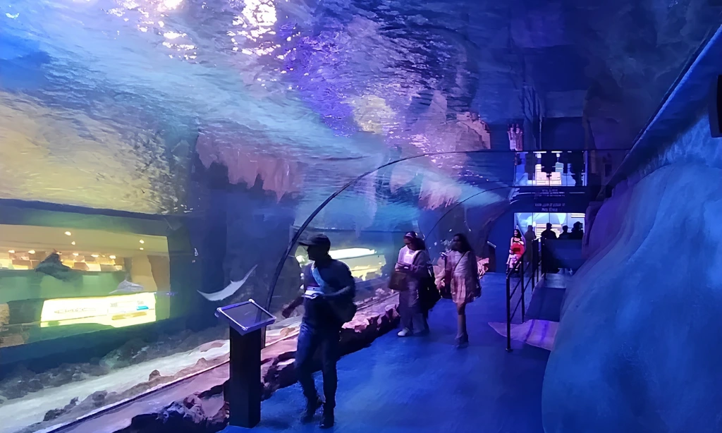 Dubai Aquarium and Underwater Zoo